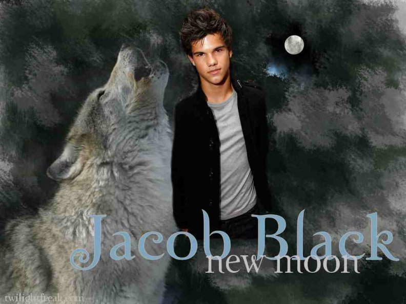 jacob_black_werewolf.jpg