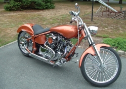2001 Harley Custom