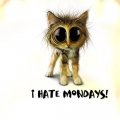 TW I Hate Mondays