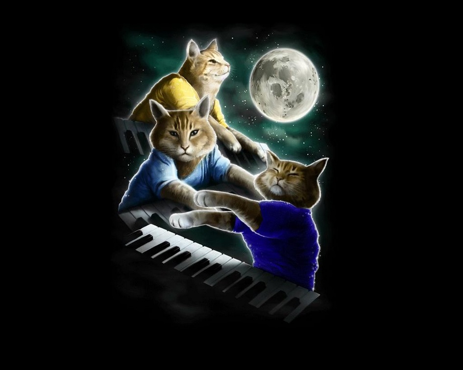 Three Keyboard Cat Moon 