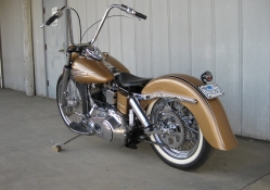 Harley Cruiser