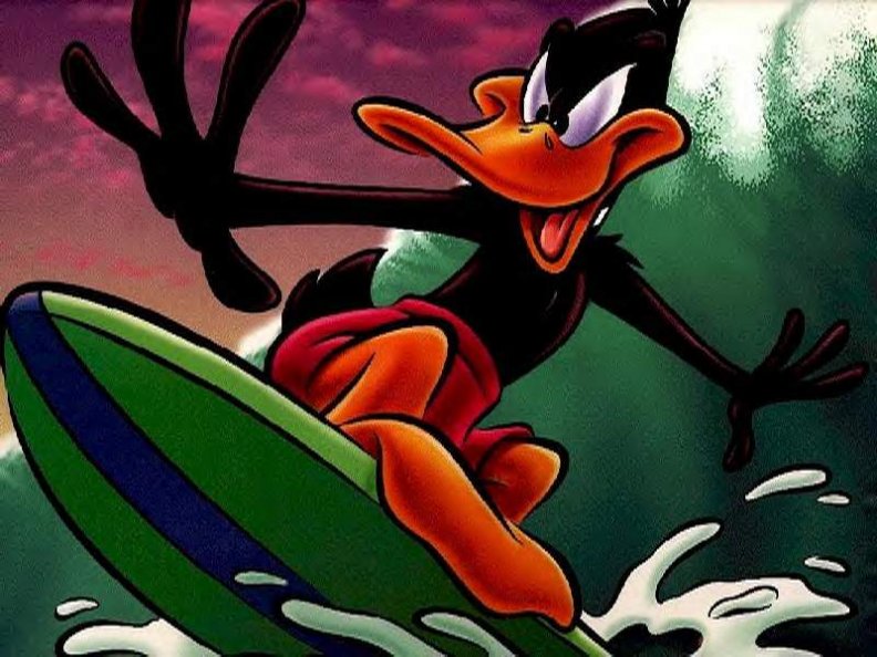 Surfing Daffy