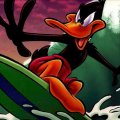 Surfing Daffy