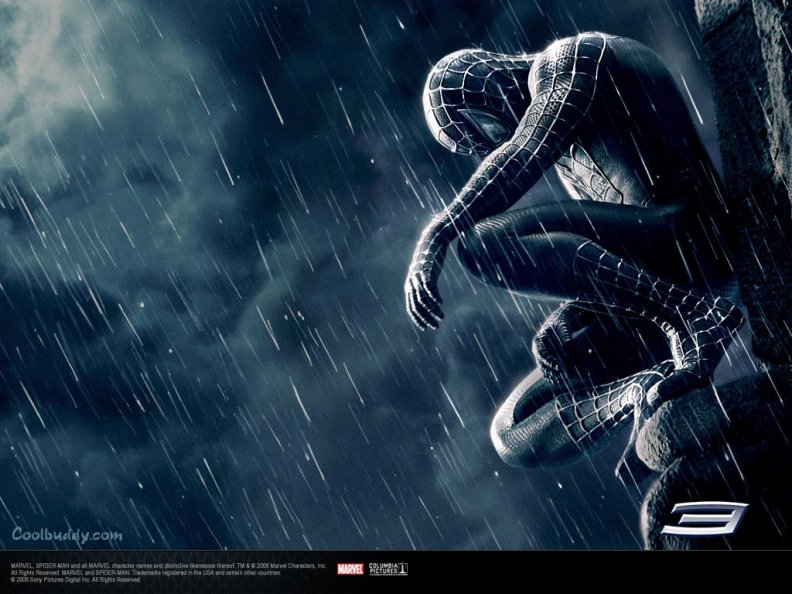spiderman_3.jpg