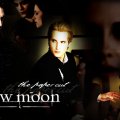 Twilight _ New Moon