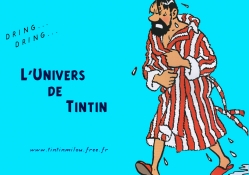 L'univers de Tintin