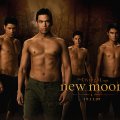 Wolf Pack_ New Moon