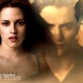 Twilight:New Moon_Love Triangle