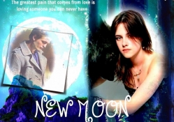 New Moon The Twilight Saga