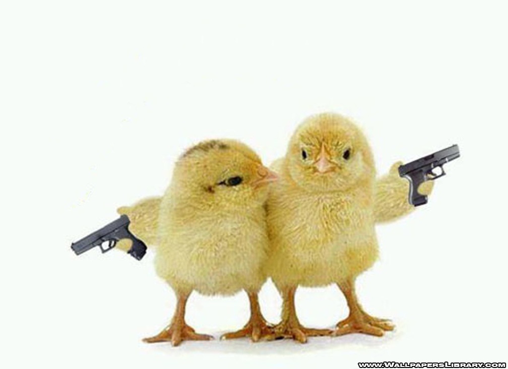 Armed Chicks