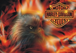Harley_Davidson fire eagle