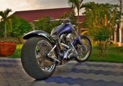 2007 Harley Davidson Custom Softail..........