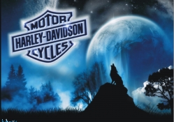 Harley_Davidson loup