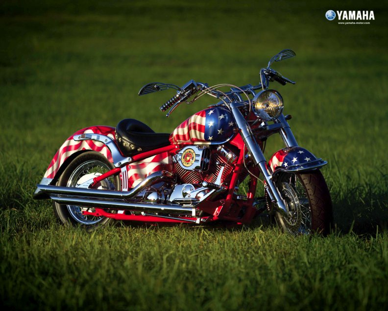 Red White and Blue Chopper