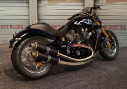 Custom Harley V Rod