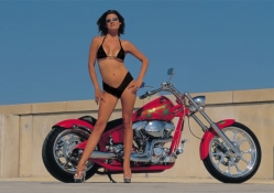 Harley Davidson 5