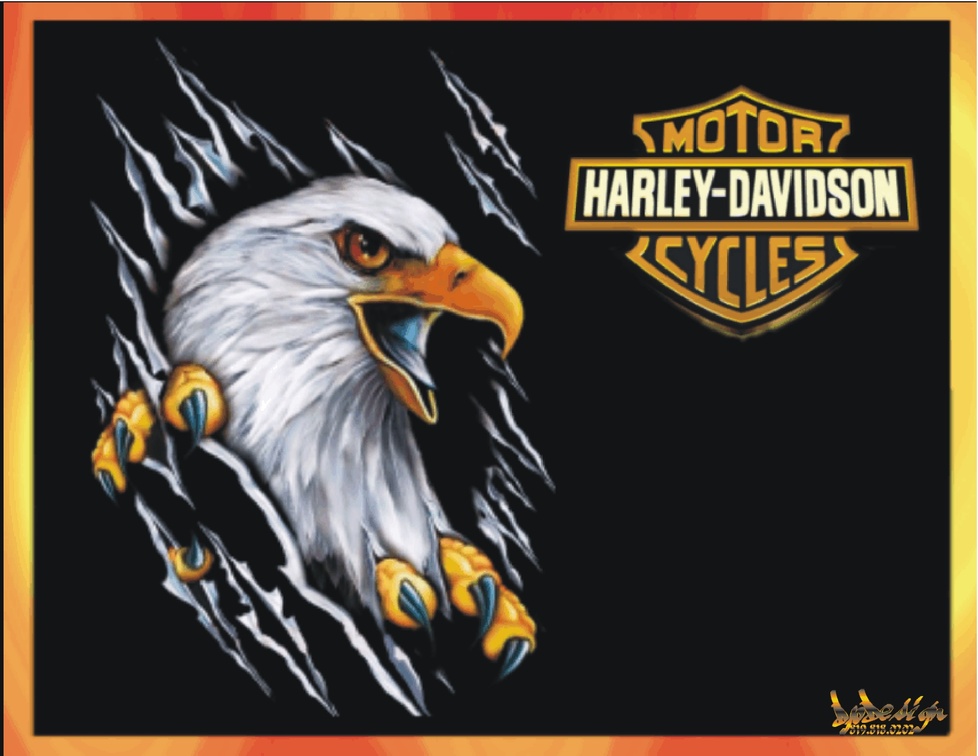 Harley_Davidson logo orange aigle