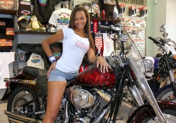 Harley Shop, Test Driver