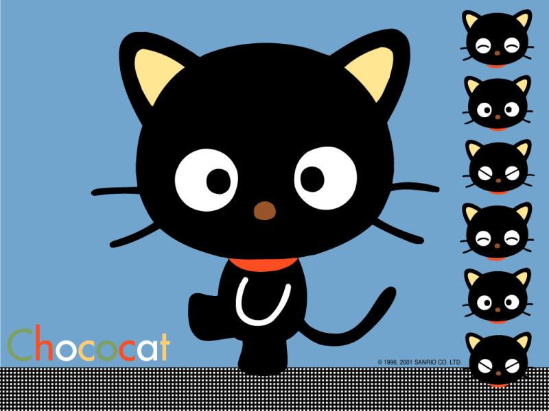 Chococat x3 | Sanrio hello kitty, Kitty, Sanrio wallpaper
